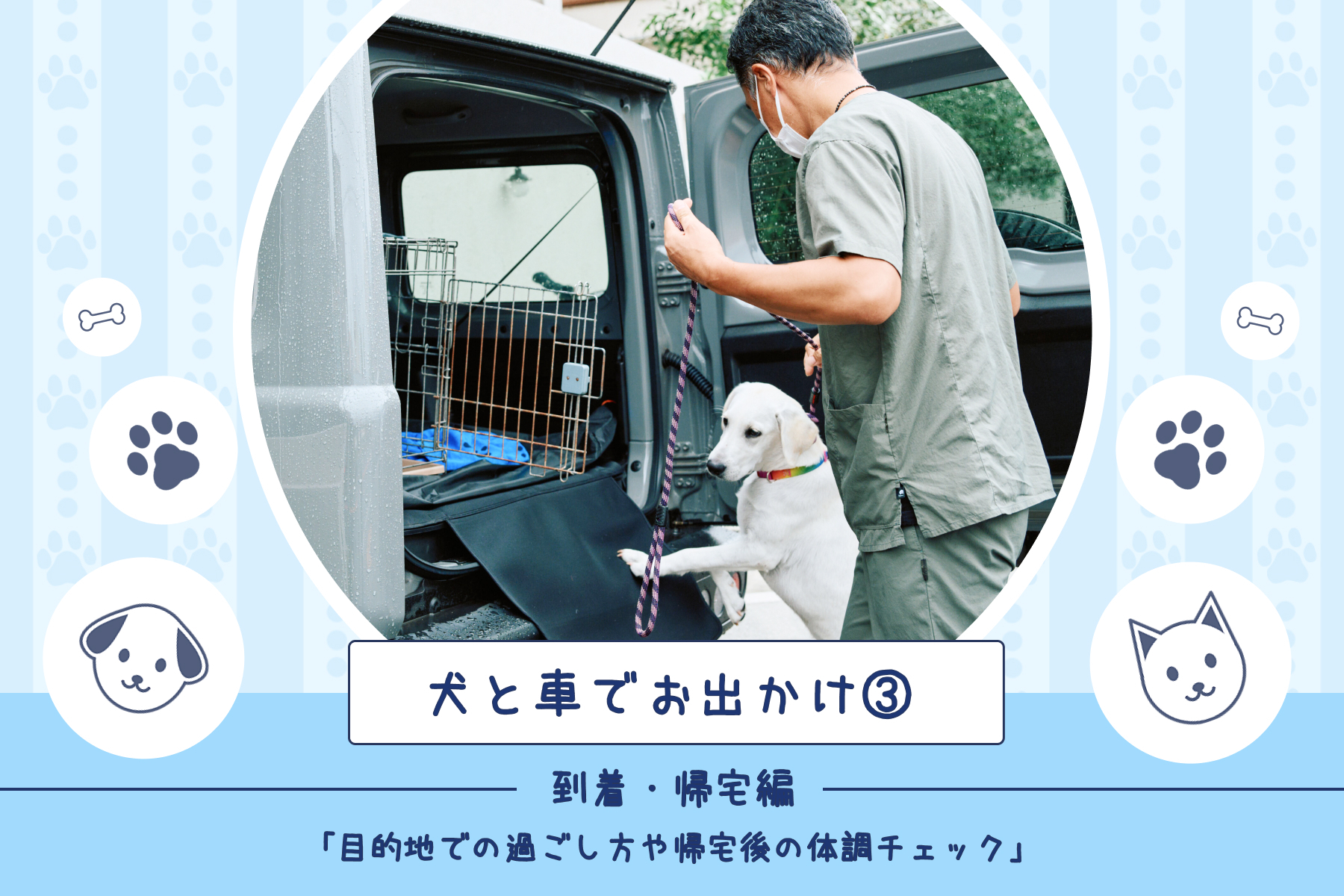 犬と車でお出かけ③到着・帰宅編「目的地での過ごし方や帰宅後の体調チェック」