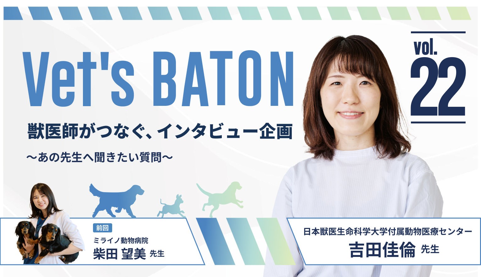 献血ドナープロジェクトから広がる未来。犬猫の血液疾患と向き合う。腫瘍内科・吉田佳倫（ヨシダ カリン）先生