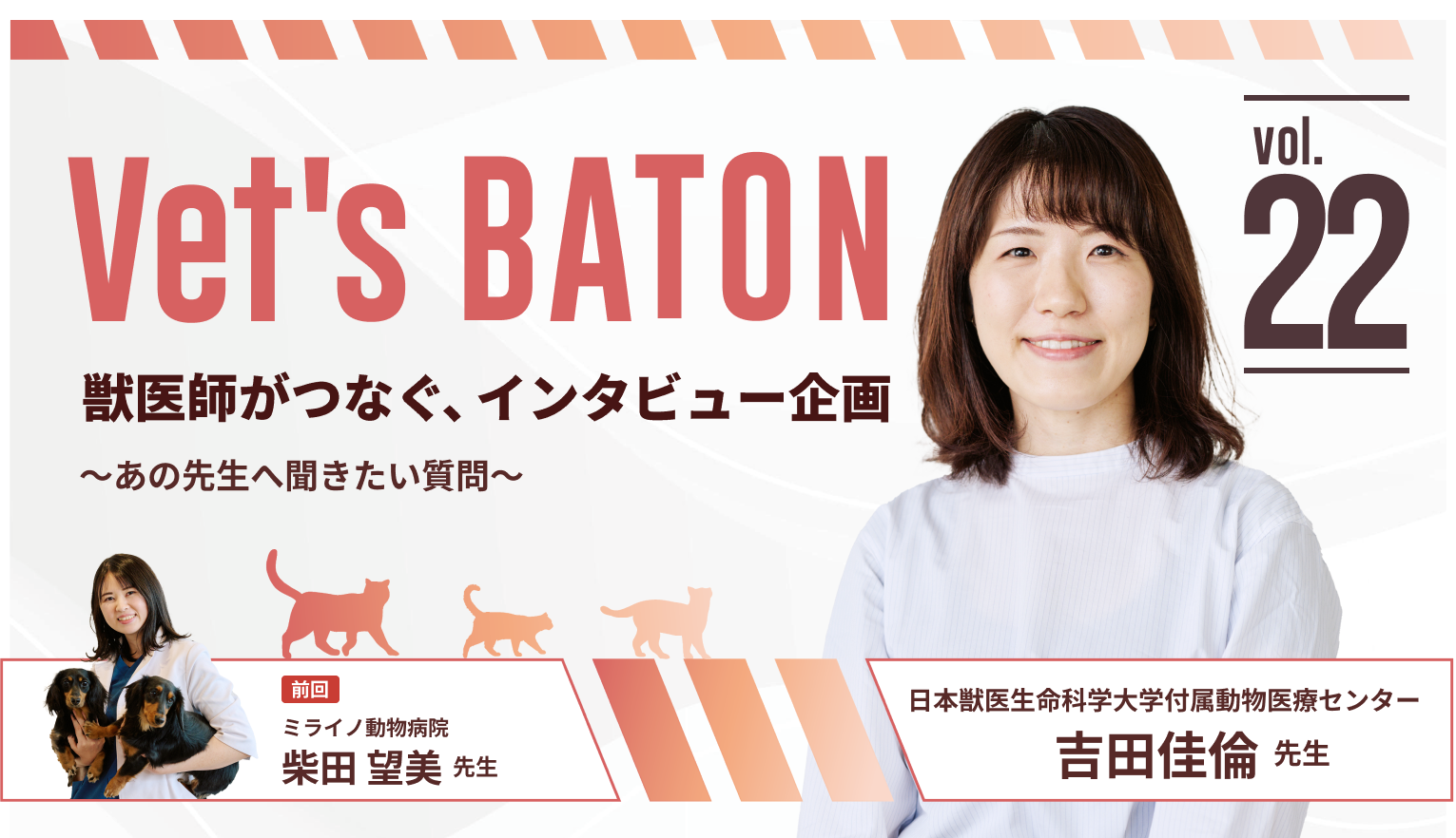 献血ドナープロジェクトから広がる未来。犬猫の血液疾患と向き合う。腫瘍内科・吉田佳倫（ヨシダ カリン）先生