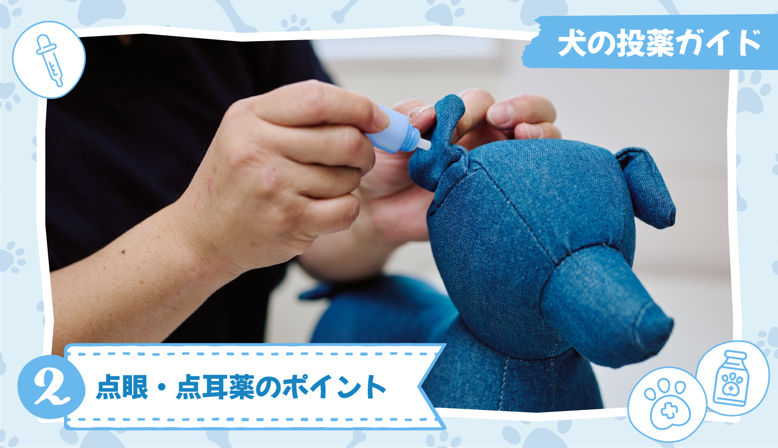 犬の投薬ガイド②点眼・点耳薬のポイント【獣医師監修】