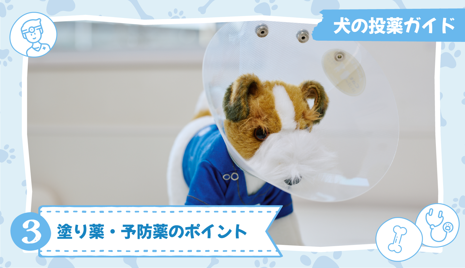 犬の投薬ガイド③塗り薬・予防薬のポイント【獣医師監修】