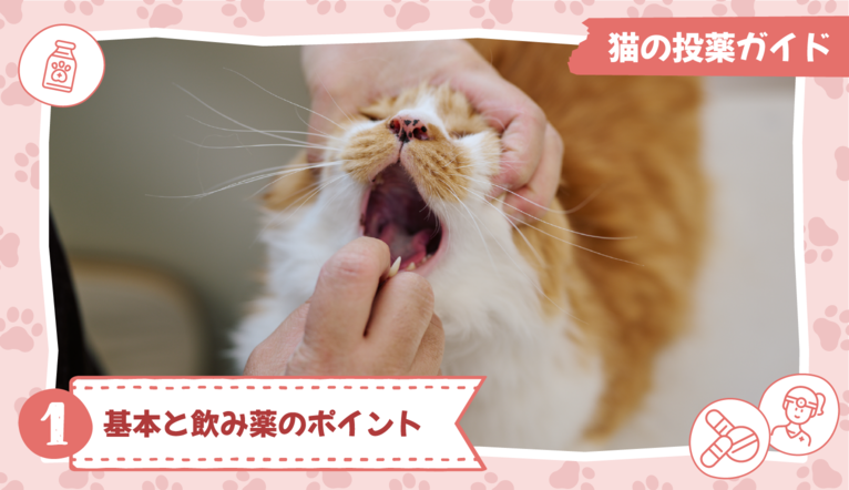 猫の投薬ガイド①基本と飲み薬のポイント【獣医師監修】