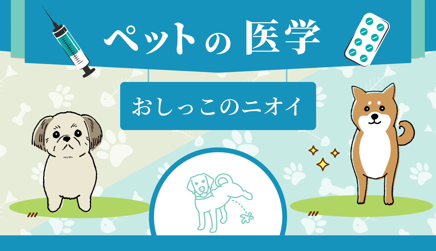 犬のおしっこが臭い理由とは？おしっこのニオイの変化や尿検査で早期発見できる病気も解説【獣医師 監修】