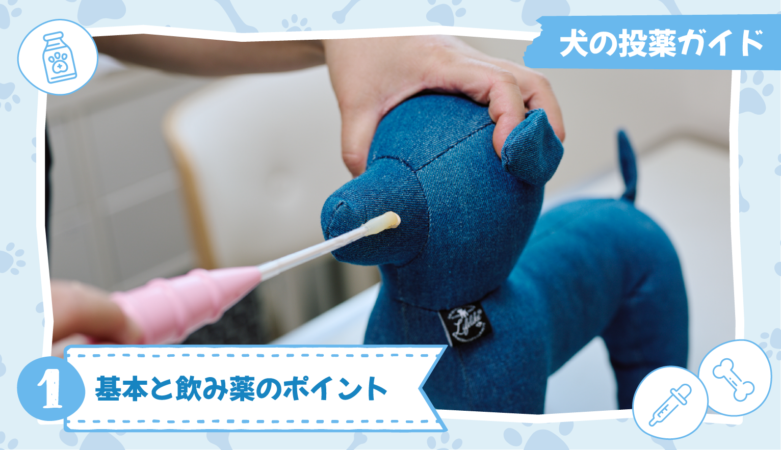 犬の投薬ガイド①基本と飲み薬のポイント【獣医師監修】
