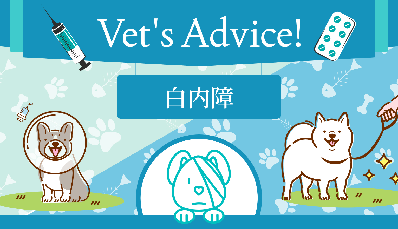犬の白内障とは？ 発症パターンやリスク、治療法について解説【獣眼科医 監修】