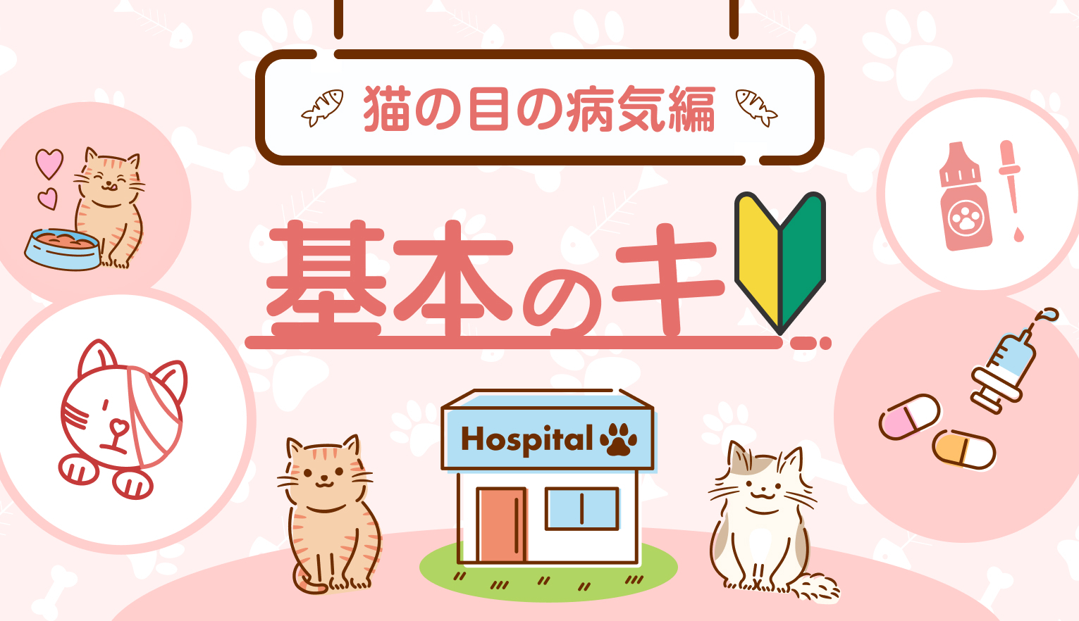 猫の目の病気｜早期発見につなげるポイントや予防方法を獣医師が解説