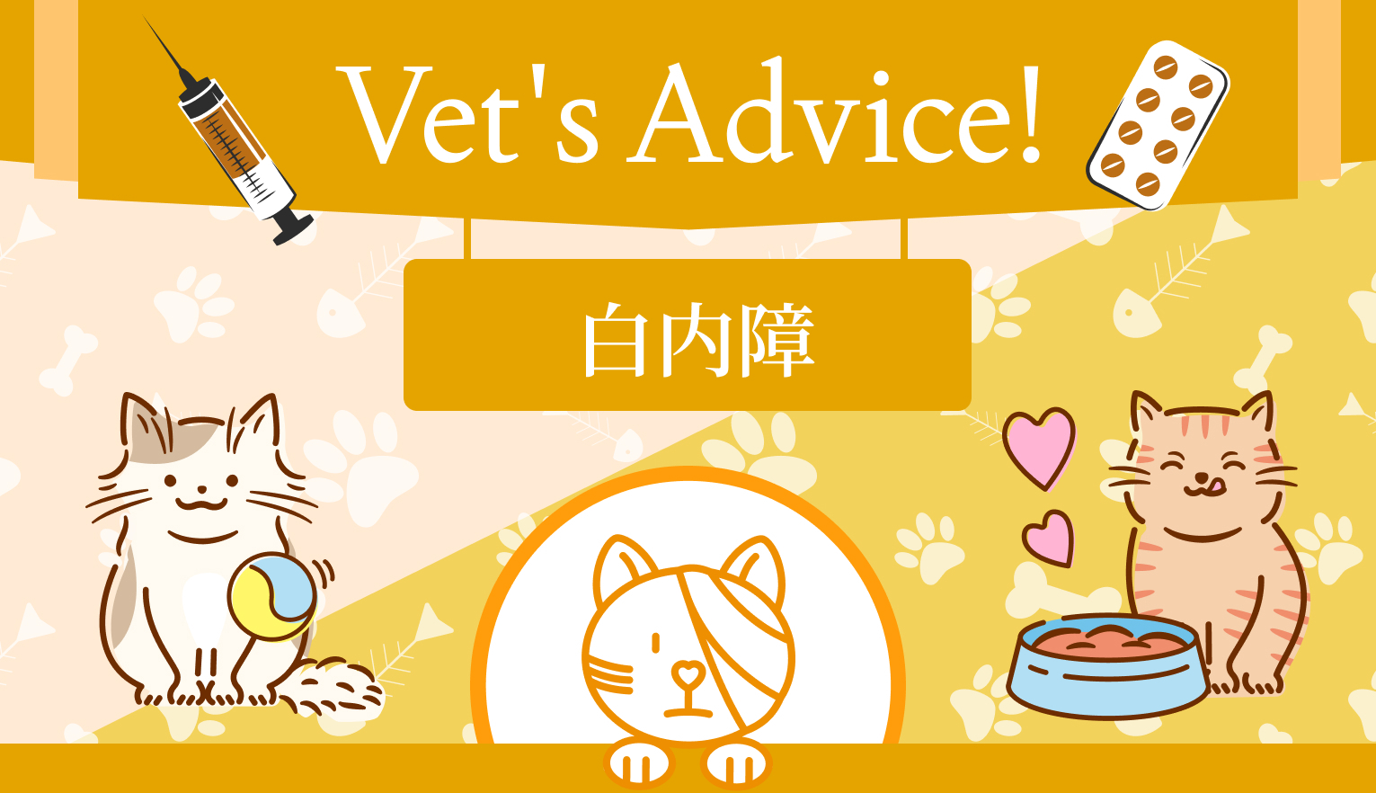 猫の白内障とは？ 発症パターンやリスク、治療法について解説【獣眼科医 監修】