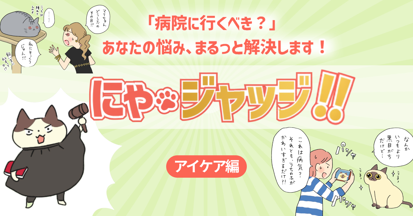 にゃ・ジャッジ「アイケア編」