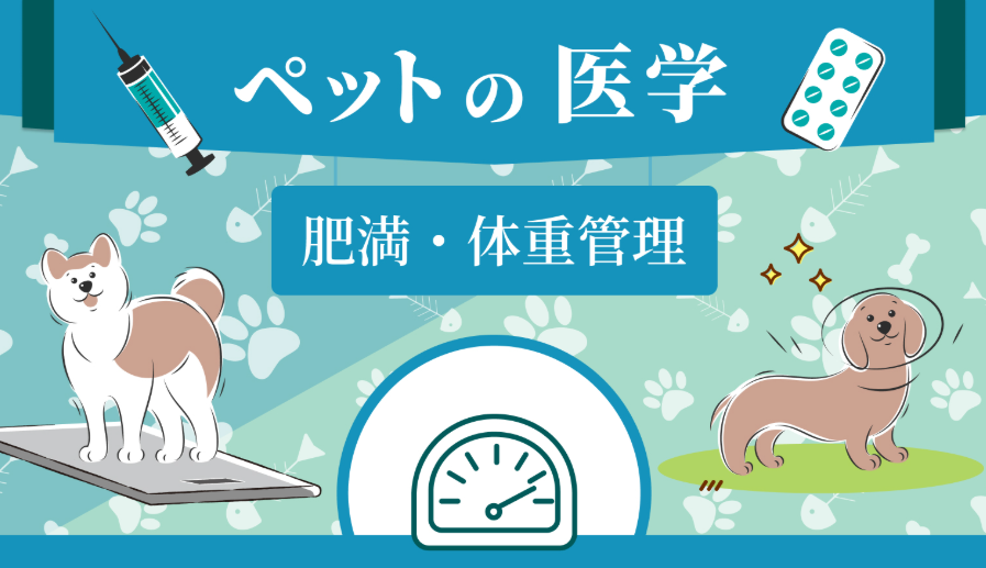 犬の肥満って？測定方法やリスク、減量の流れを解説【獣医監修】