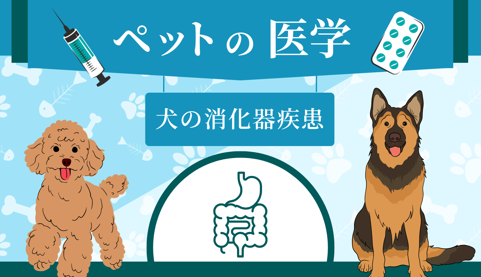 犬の消化器疾患とは？ サインとなる症状や日頃から心がけておくべきことについて解説【獣内科医 監修】