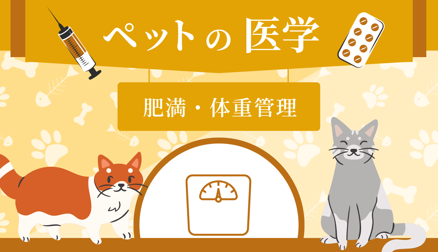猫の肥満って？測定方法やリスク、減量の流れを解説【獣医監修】
