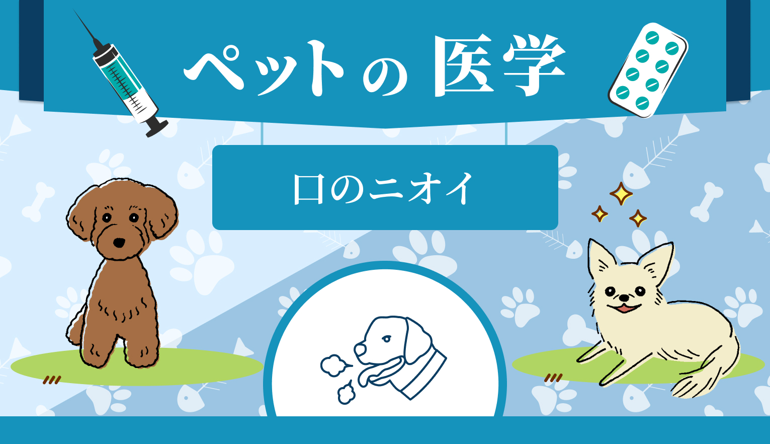 犬の口が臭くなるのは、なぜ？ 放置しておくとよくない理由やご家庭でもできる対策について解説【獣歯科医 監修】