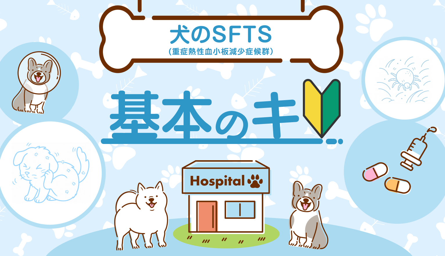小さなマダニが命を奪うことも。SFTS（重症熱性血小板減少症候群）から家族と愛犬を守るために【獣医師監修】
