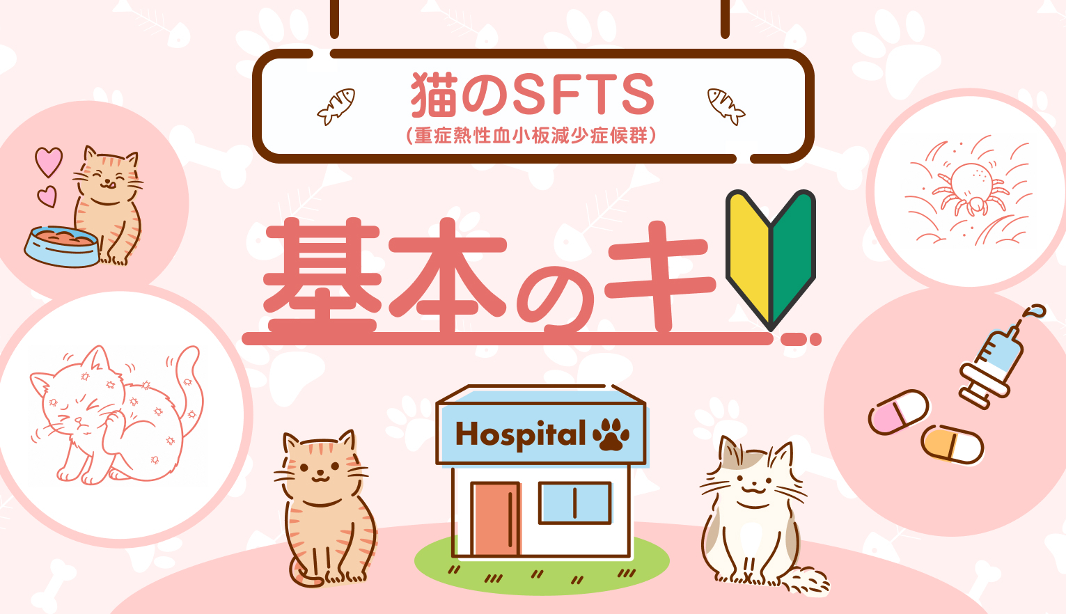 小さなマダニが命を奪うことも。SFTS（重症熱性血小板減少症候群）から家族と愛猫を守るために【獣医師監修】