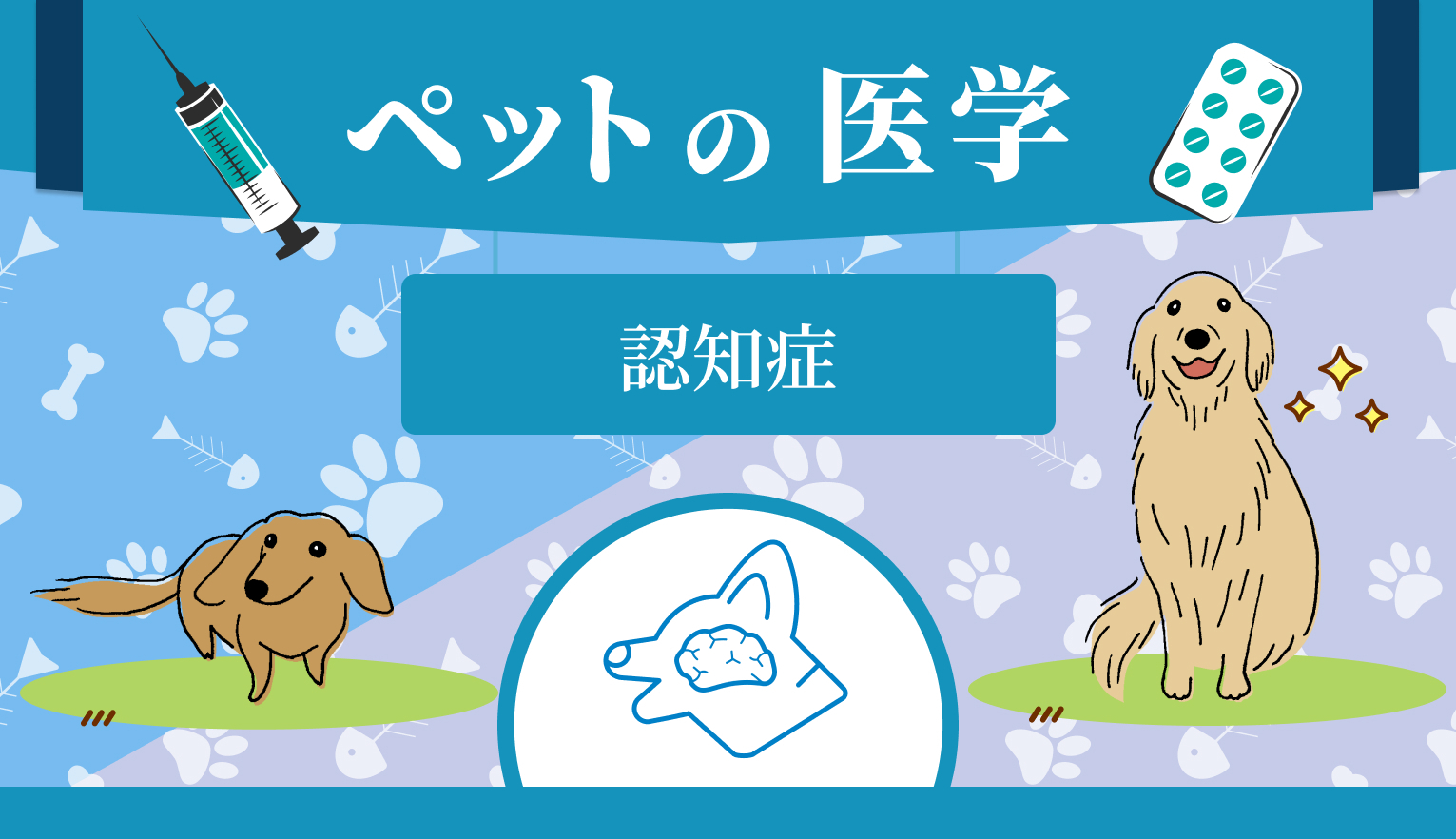 犬の認知症とは？ よく見られる症状と動物病院での対処、家庭でできるケアについて解説【獣医行動診療科認定医 監修】