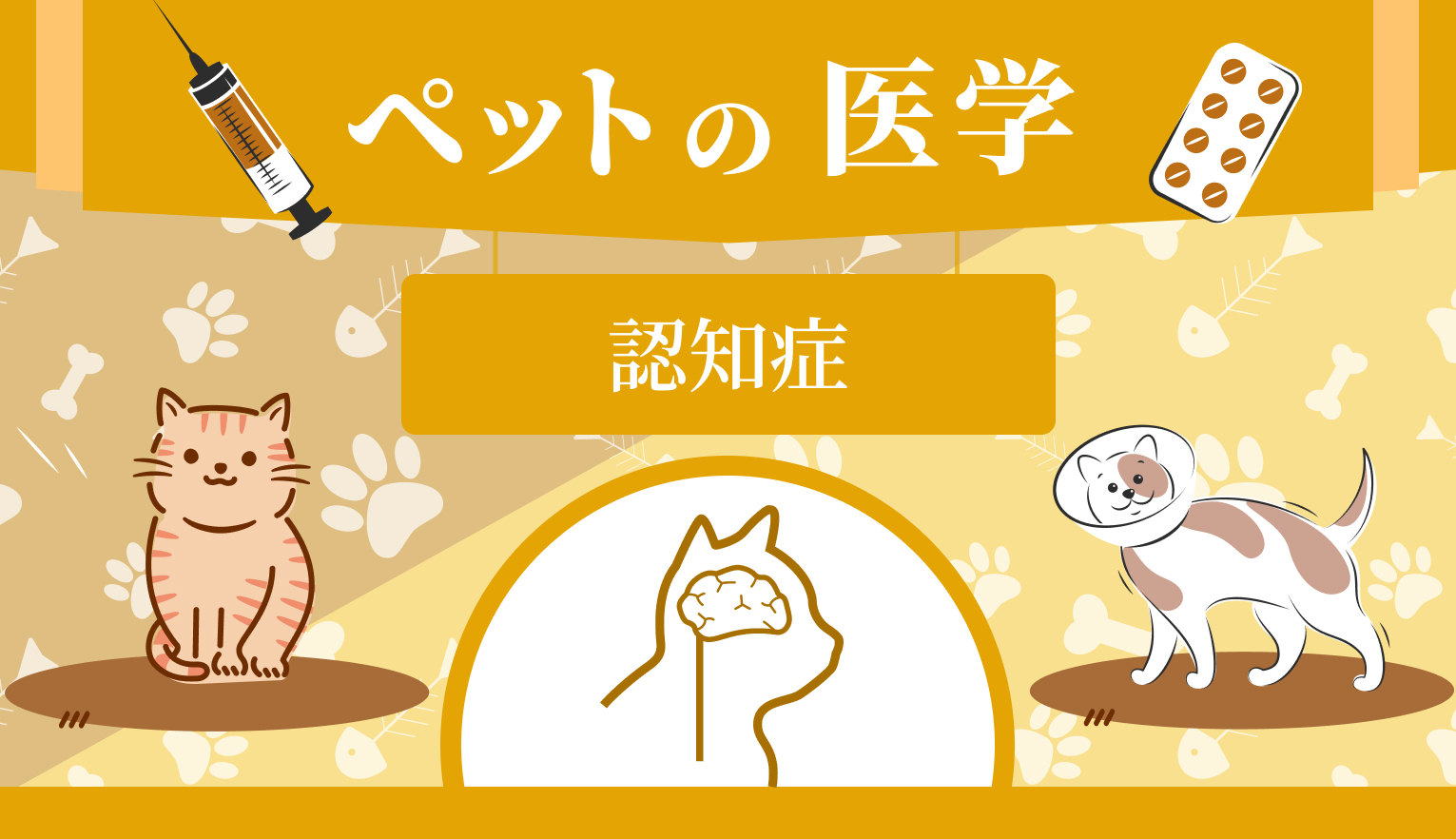 猫の認知症とは？ よく見られる症状と動物病院での対処、家庭でできるケアについて解説【獣医行動診療科認定医 監修】