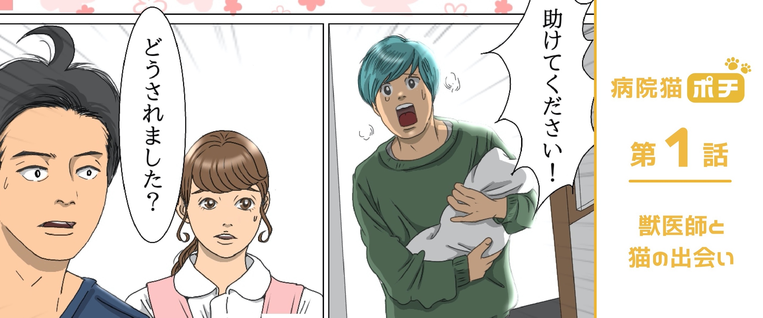 【猫マンガ vol.1】「病院猫ポチ」１話 プロローグ 獣医師と猫の出会い