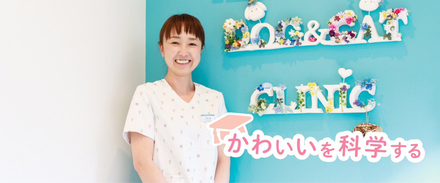獣医師が教える！ 愛犬の“かわいいの作り方”【アイケア編】