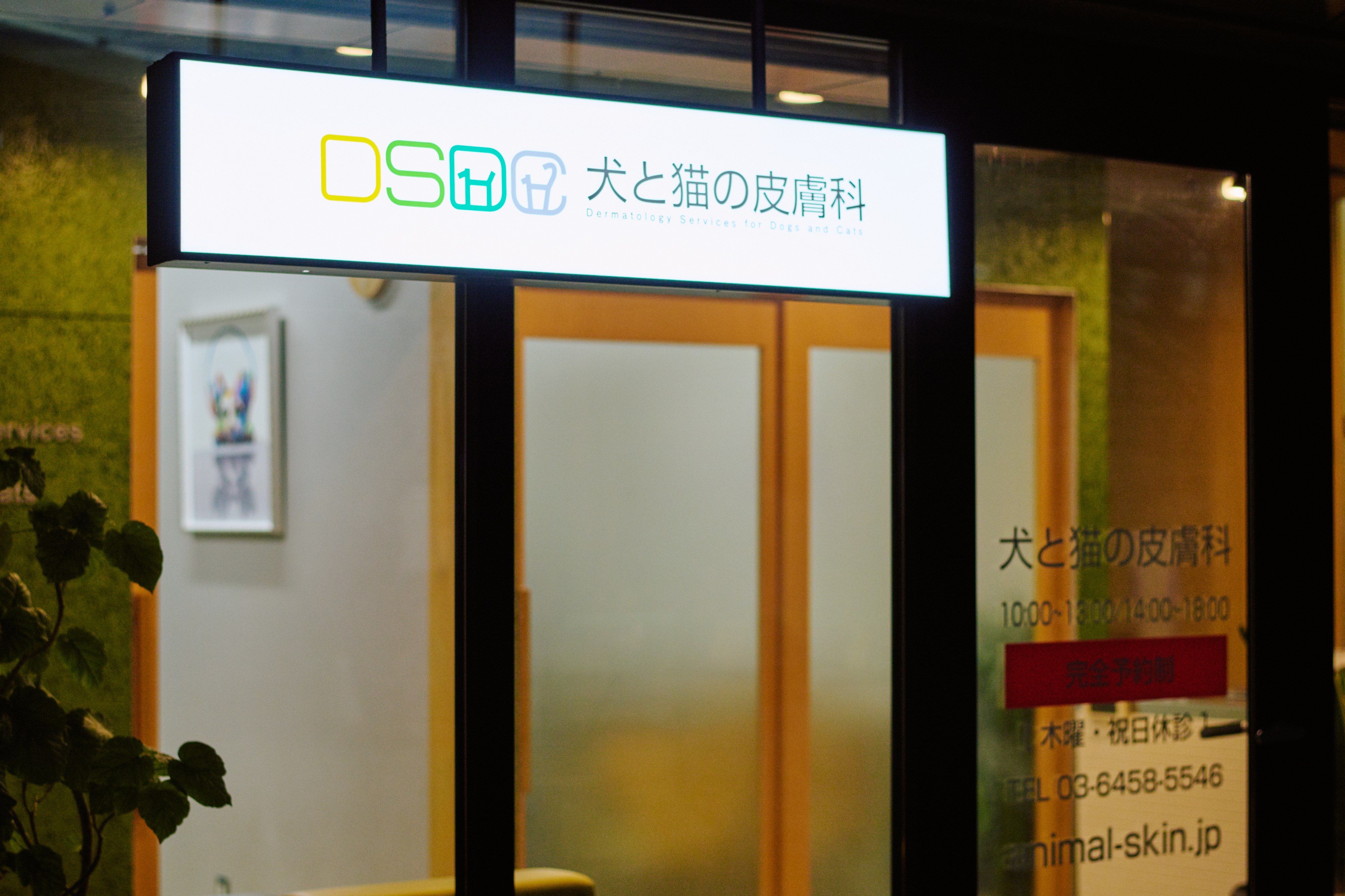 犬と猫の皮膚科クリニック