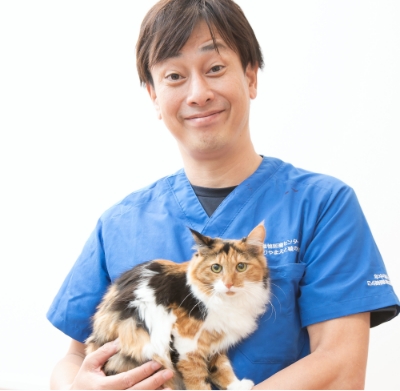 かわいい長毛種の子猫と獣医師　淺井亮太先生