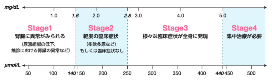 腎臓病ステージ 解説図