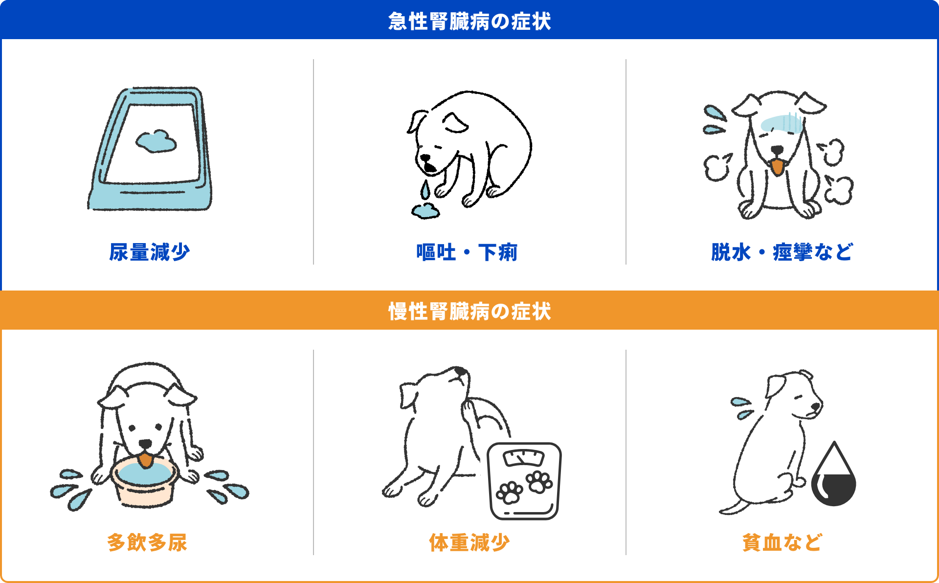 腎臓病の症状