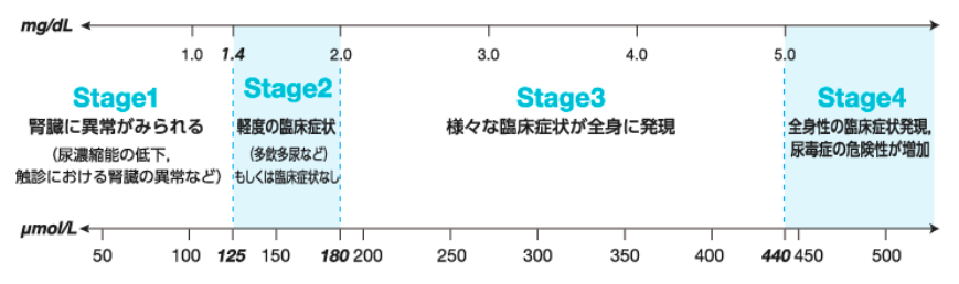 腎臓病ステージ 解説図