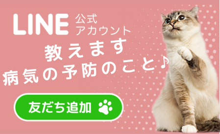 LINE友だち募集中