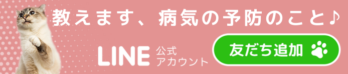LINE友だち募集中