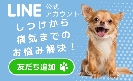 LINE友だち募集中