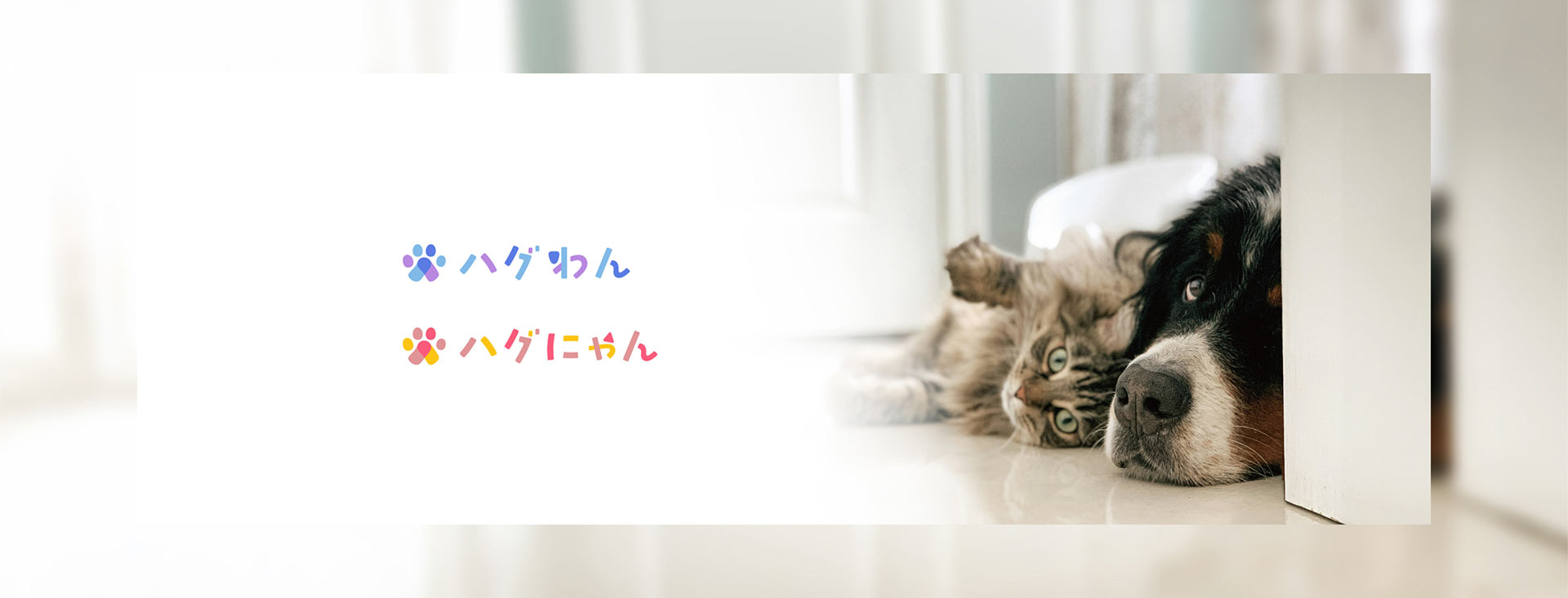 #HugQとは?