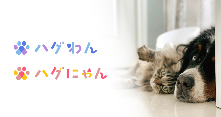 #HugQとは?