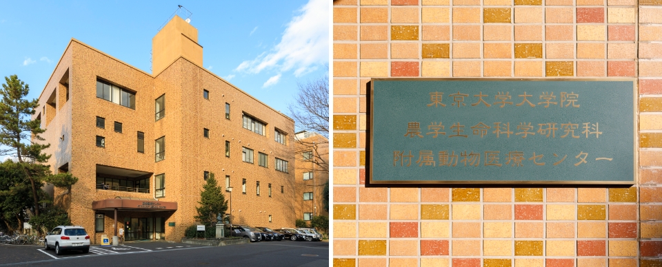 東京大学院農学生命科学研究科附属動物医療センター