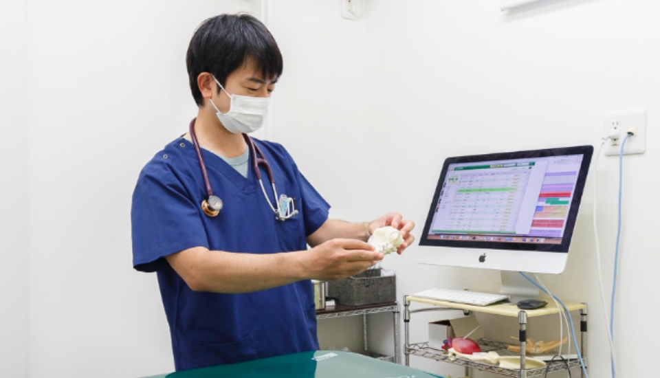 獣医師の和田 章秀 先生