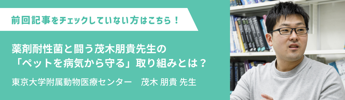 薬剤耐性菌と闘う茂木朋貴先生の 「ペットを病気から守る」取り組みとは？