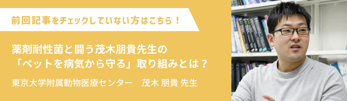 薬剤耐性菌と闘う茂木朋貴先生の 「ペットを病気から守る」取り組みとは?