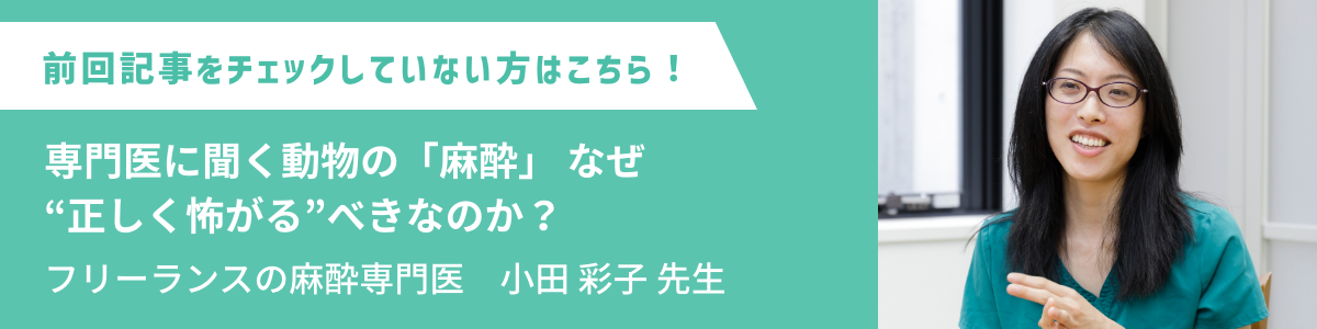 専門医に聞く動物の「麻酔」 なぜ“正しく怖がる”べきなのか？