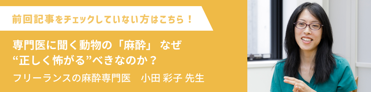 専門医に聞く動物の「麻酔」 なぜ“正しく怖がる”べきなのか？