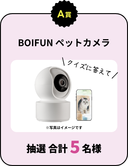 A賞：BOIFUN ペットカメラ クイズに答えて 抽選 合計5名様
