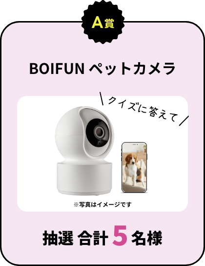 A賞：BOIFUN ペットカメラ クイズに答えて 抽選 合計5名様