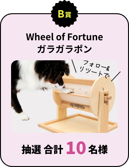B賞：Wheel of Fortune ガラガラポン フォロー&リツートで 抽選 合計10名様