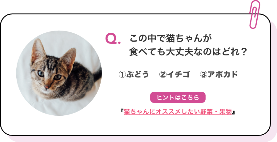 Q.この中で猫ちゃんが食べても大丈夫なのはどれ？ ①ぶどう ②イチゴ ③アボカド ヒントはこちら『猫ちゃんにオススメしたい野菜・果物』