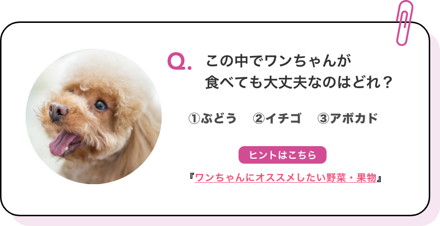 Q.この中でワンちゃんが食べても大丈夫なのはどれ？ ①ぶどう ②イチゴ ③アボカド ヒントはこちら『ワンちゃんにオススメしたい野菜・果物』