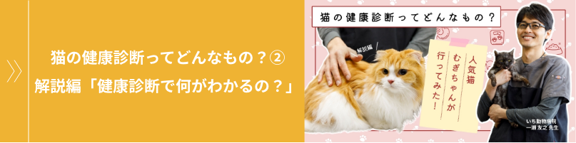 猫の健康診断ってどんなもの？② 解説編「健康診断で何がわかるの？」