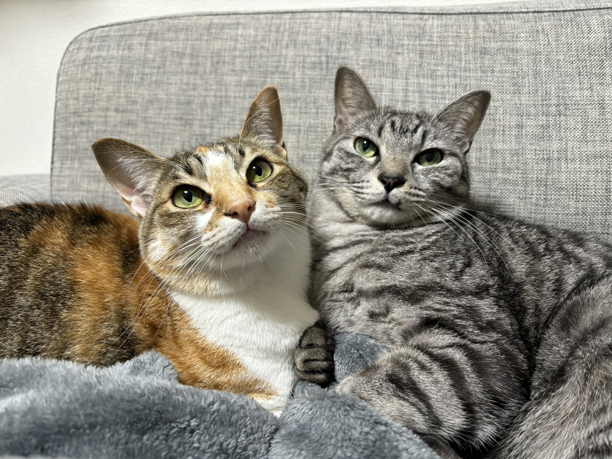 2匹のプロフィール写真