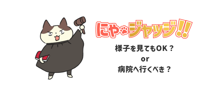 にゃ・ジャッジ!!様子を見てもOK？or病院へ行くべき？