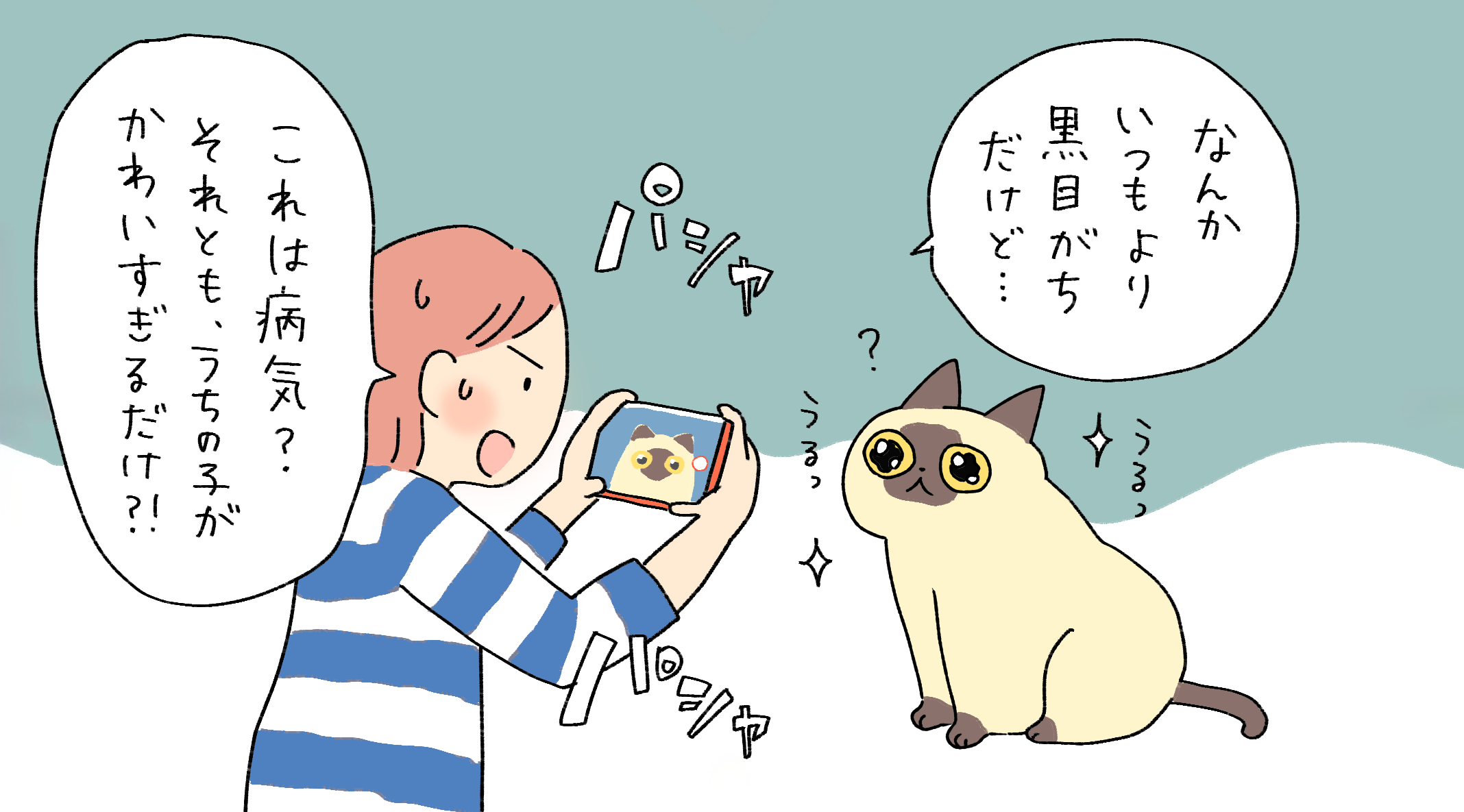 眼がうるうるしてる猫と写真に撮る飼い主