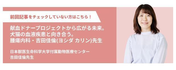 日本獣医生命科学大学付属動物医療センター吉田佳倫先生