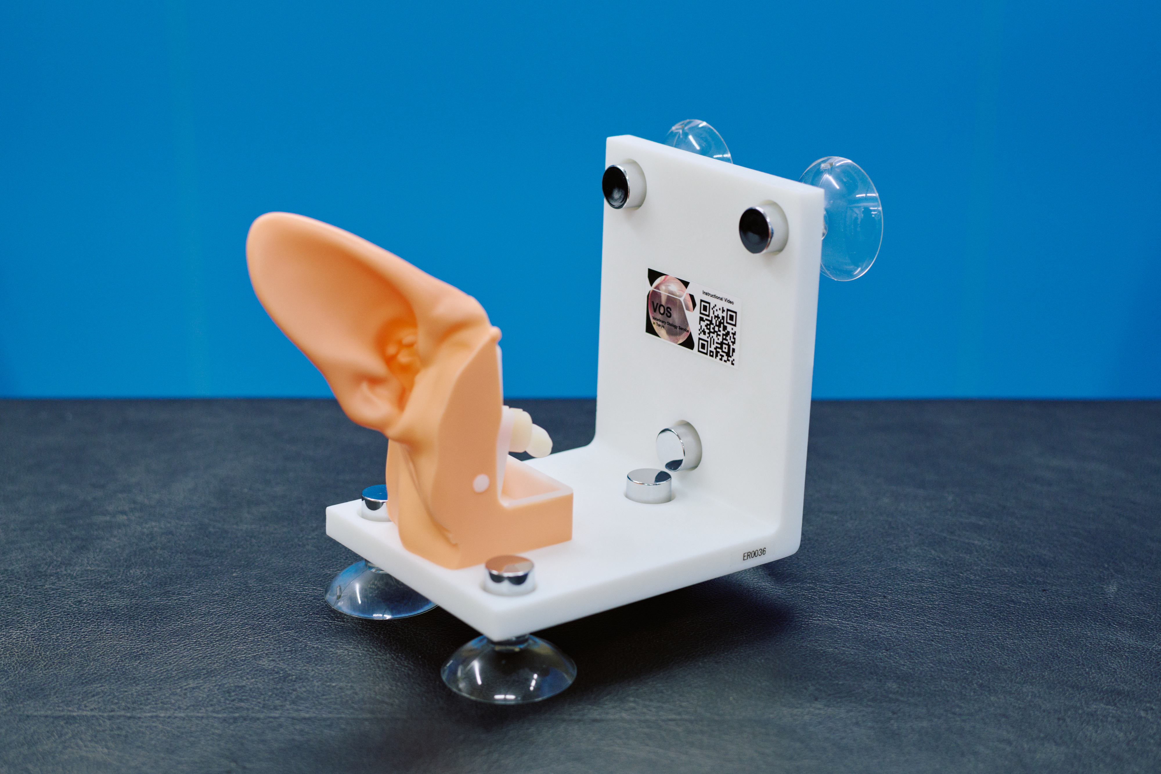 ビデオオトスコープ（耳の内視鏡）練習用の自作模型