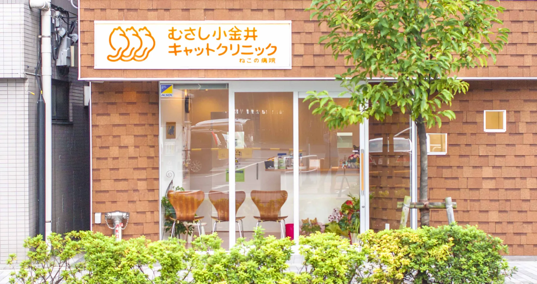 むさし小金井キャットクリニック